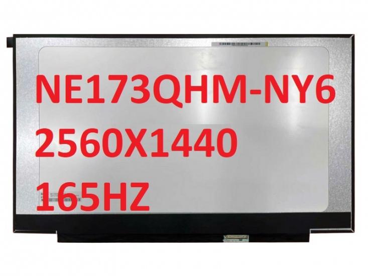 NE173QHM-NY6 40PİN 2560X1440 165 HZ  IPS VİDASIZ 