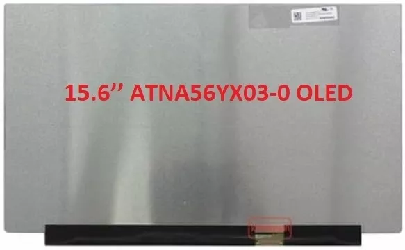 13N1-ECA0B01 15.6 30 Pin OLED Laptop Ekranı 
